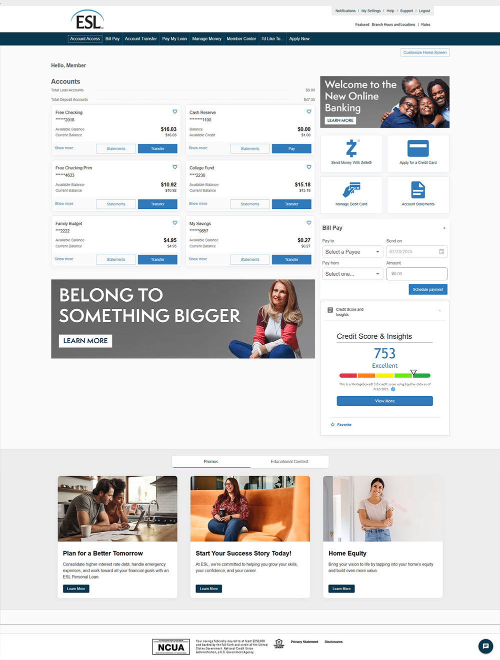 Screen shot of new Online Banking Account Access page