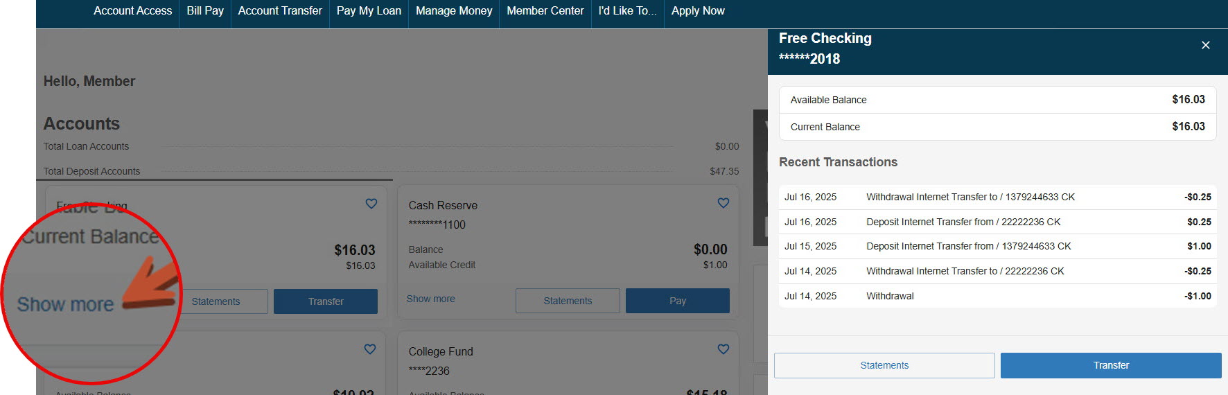 Screen shot illustrating of the show more functionality to view your five most recent transactions from the homepage