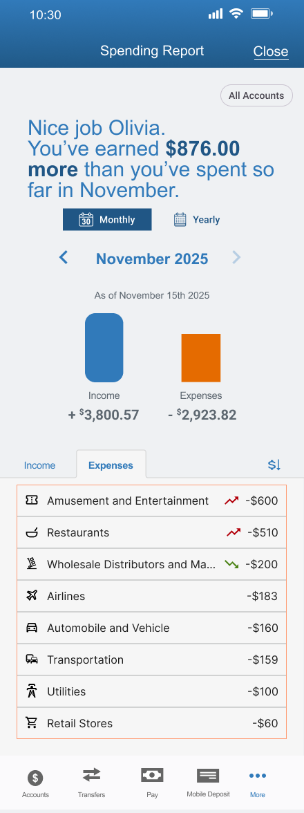 screen shot of monthly spending report in ESL Mobile Banking